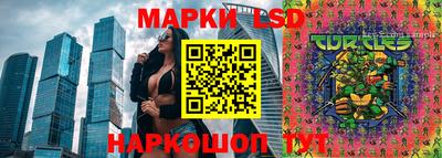 твердый Краснознаменск