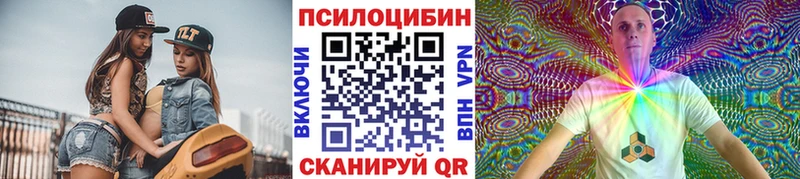 Псилоцибиновые грибы Psilocybine cubensis  купить  цена  ссылка на мегу tor  Вологда 