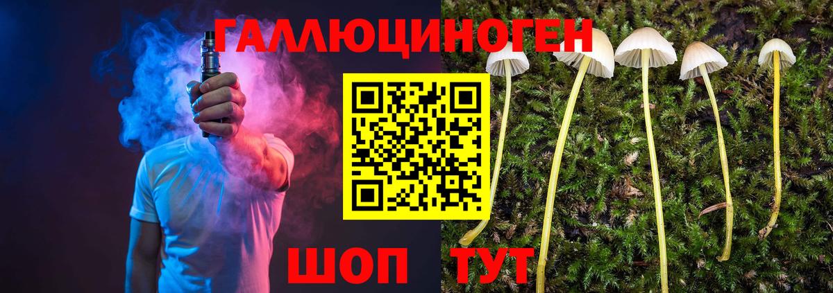 Галлюциногенные грибы Psilocybe  Вход с VPN  Вологда  дарнет шоп  Псилоцибиновые грибы Cubensis 